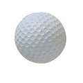 Champion Sports 1.75 in. Rhino Skin Molded Foam Golf Ball&#44; White RSGB